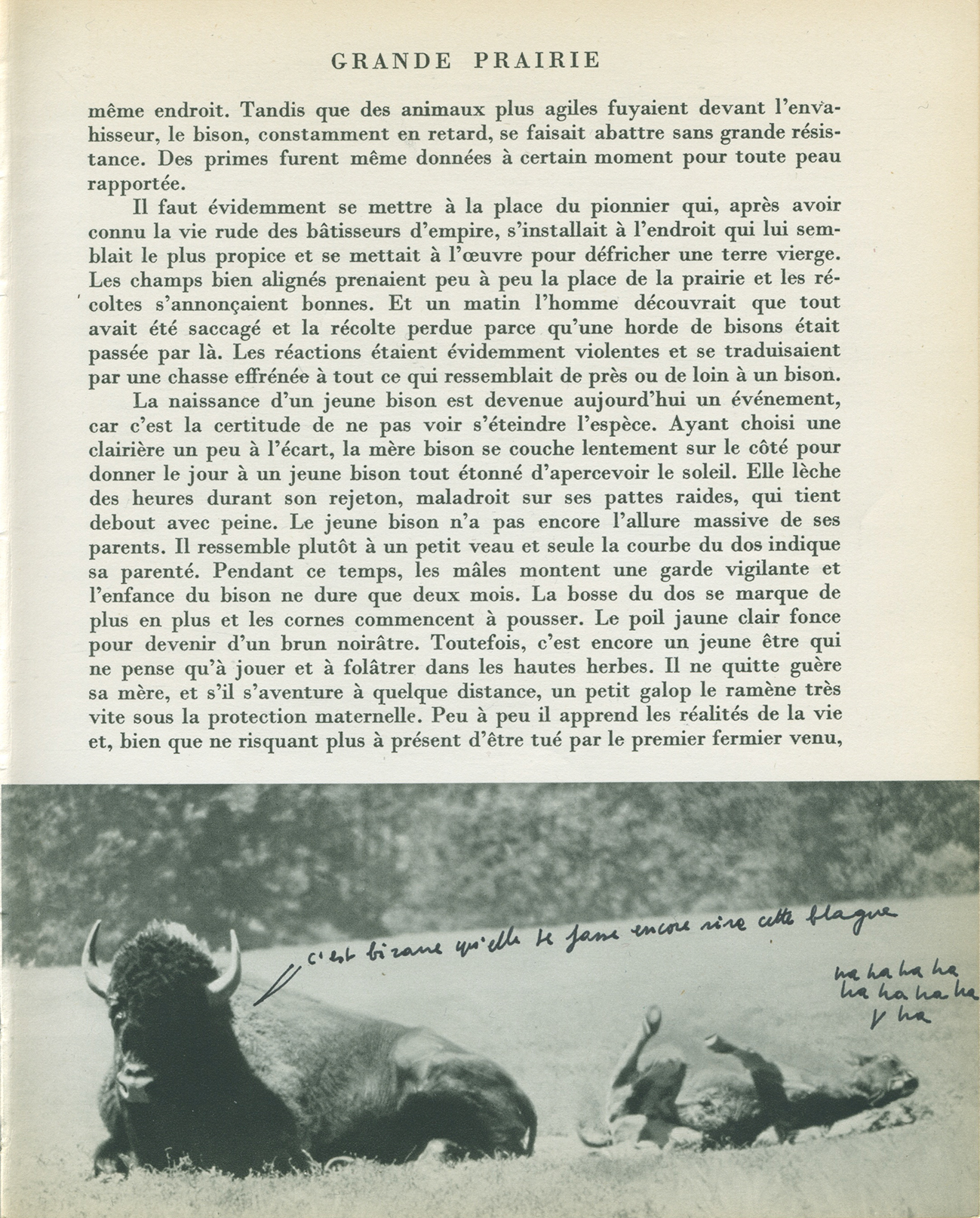 jeremiegrandsenne_rirecetteblague_1200