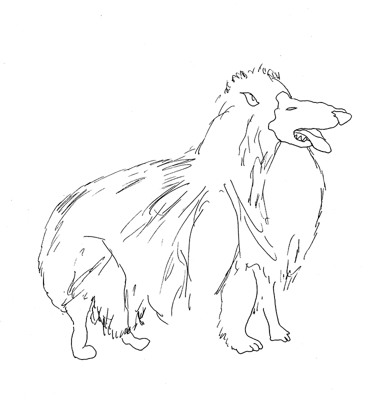 jeremiegrandsenne_superchien