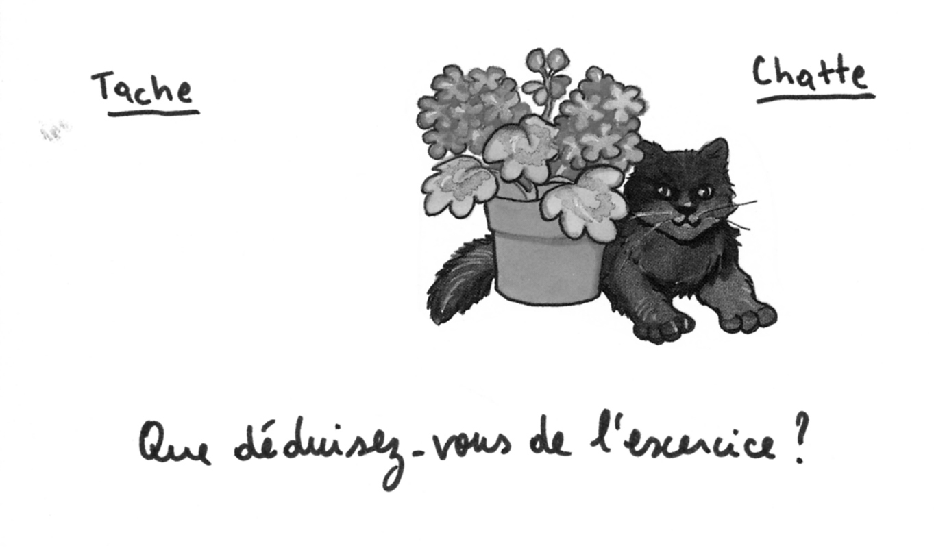 jeremiegrandsenne_tache-chatte