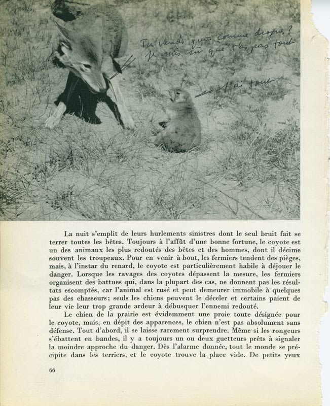 jeremiegrandsenne_tasquoijaitout