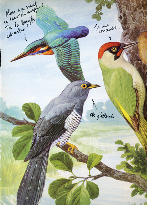 jeremiegrandsenne_tourdemagie72