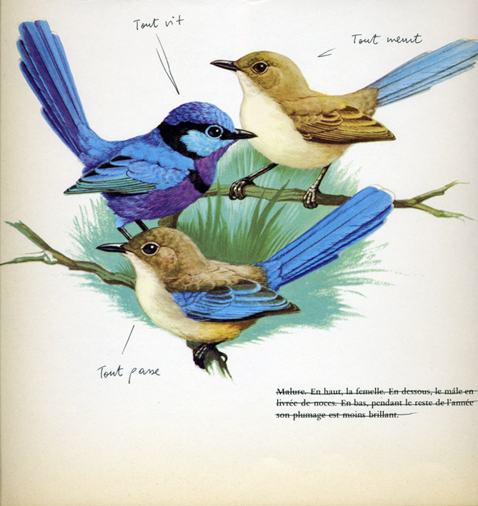 jeremiegrandsenne_toutvittoutmeurtcentre_72