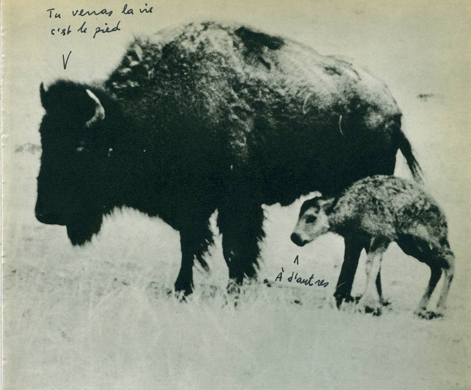 jeremiegrandsenne_tuverras