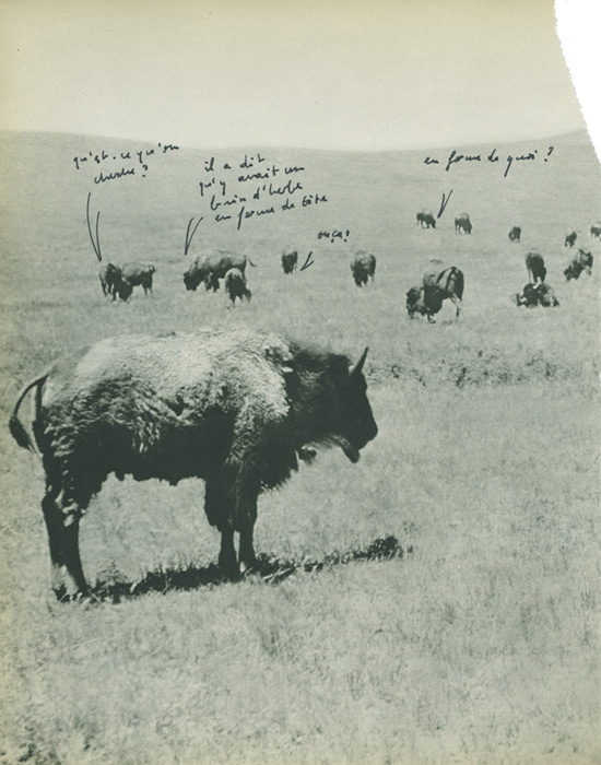 jeremiegrandsenne_unbrindherbe_web