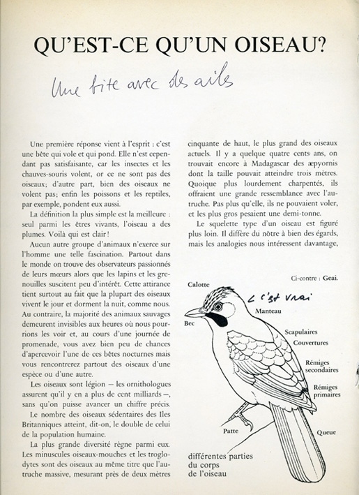 jeremiegrandsenne_unebite72