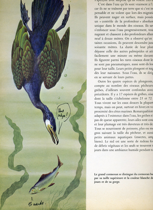 jeremiegrandsenne_unecrepe72