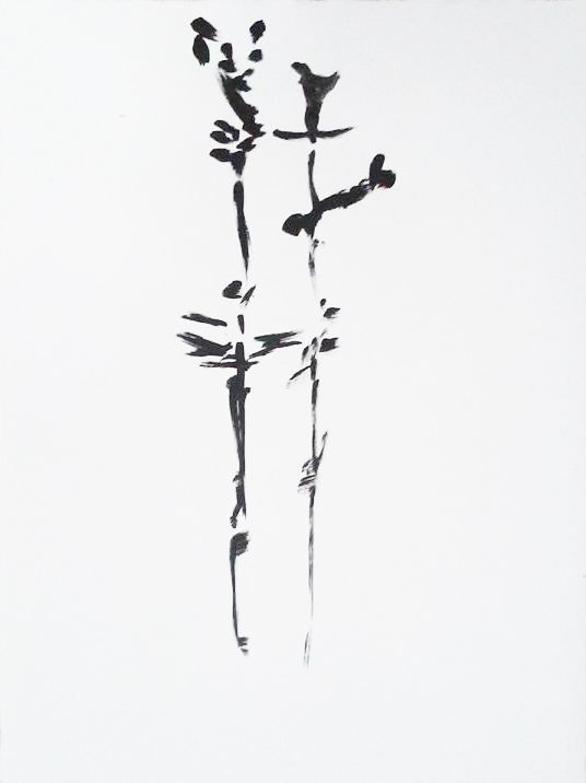 13912759_10154291086551878_6532493271917370234_n