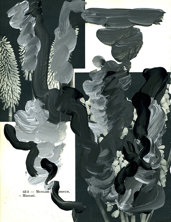 jeremiegrandsenne_Sans titre-21