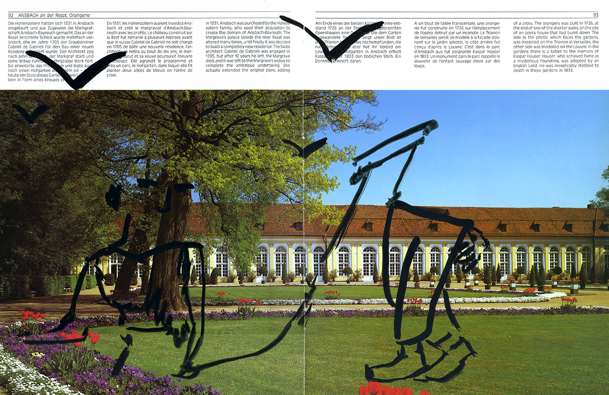 jeremiegrandsenne_baviere_promenadedesoiseaux