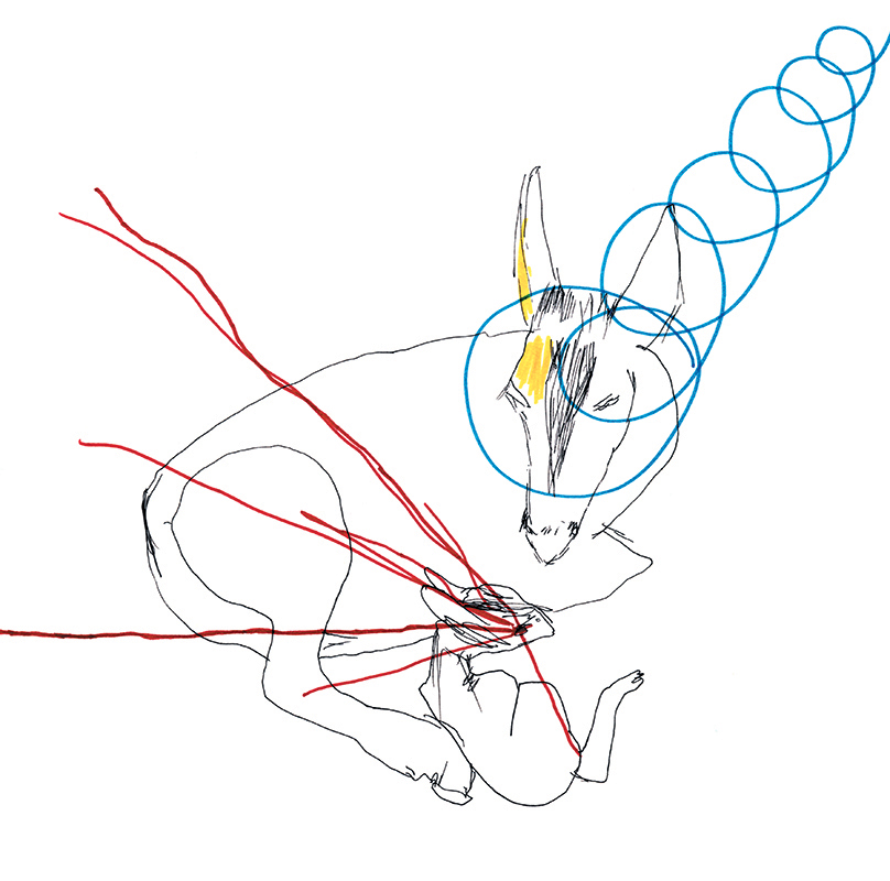 jeremiegrandsenne_cerf & biche laser entier