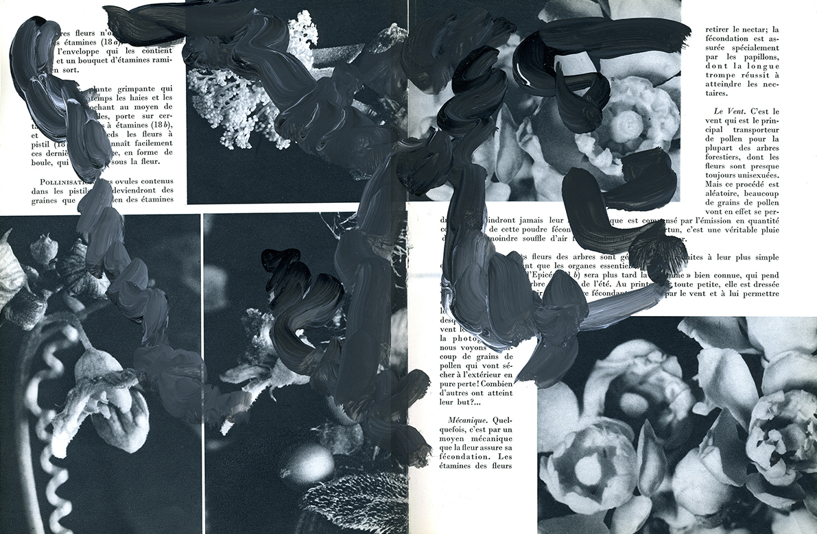 jeremiegrandsenne_double6