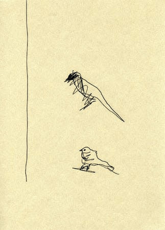 jeremiegrandsenne_kraftbird