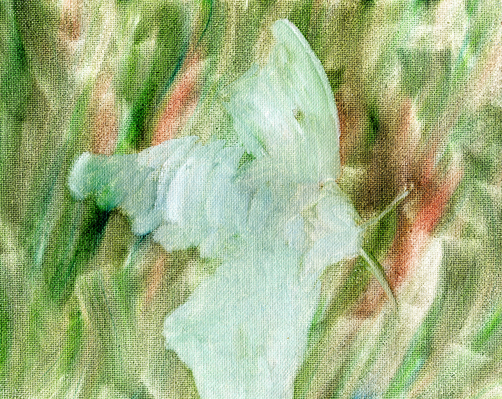 jeremiegrandsenne_souslapeau