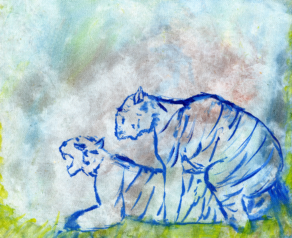 jeremiegrandsenne_tigresbaisent