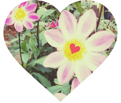 stamp-20200220122636