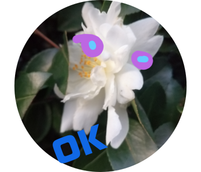 stamp-20200220122643