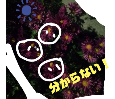 stamp-20200220122659