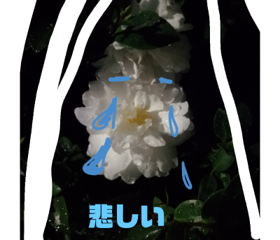 stamp-20200220122703