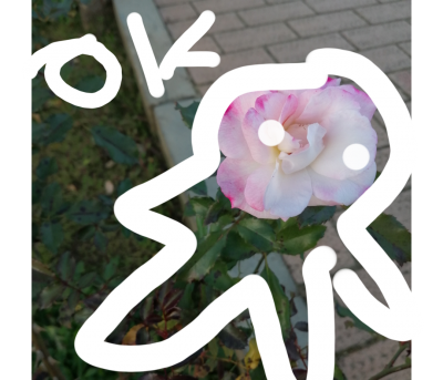 stamp-20200220122730