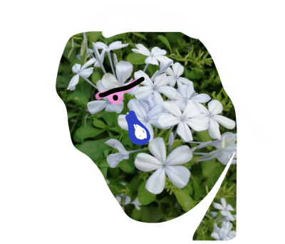 stamp-20200220122738