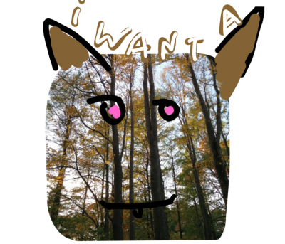 stamp-20200220122759-1