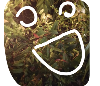 stamp-20200220122810