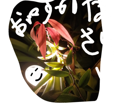 stamp-20200220122813